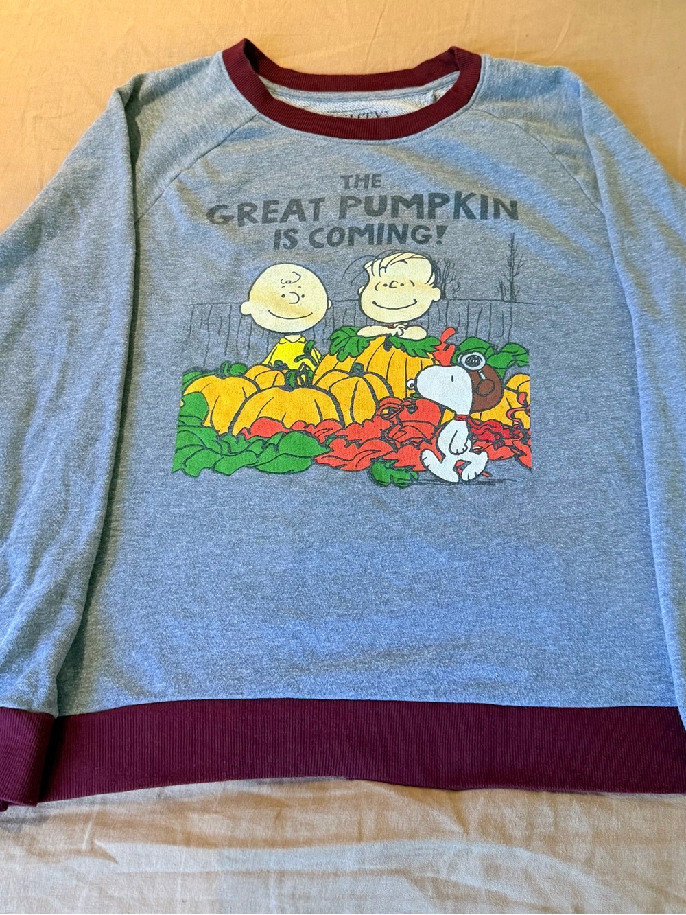 Peanuts The Great Pumpkin Pullover